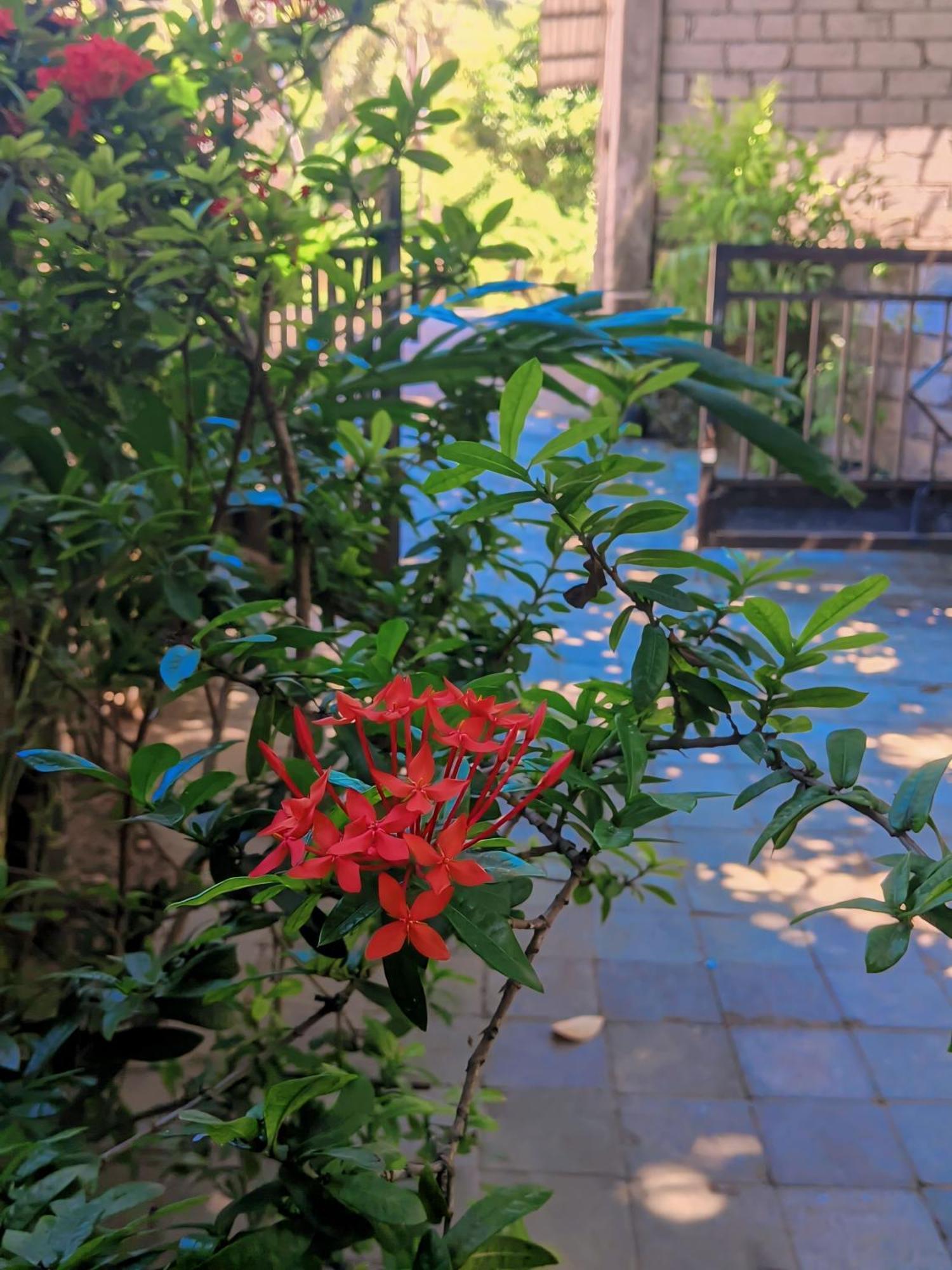 Three V Homestay Kuta  Luaran gambar