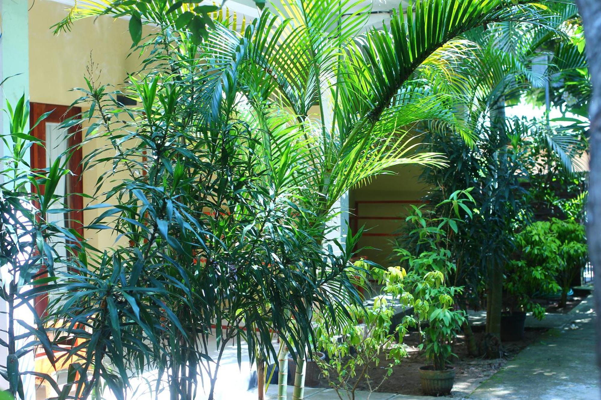 Three V Homestay Kuta  Luaran gambar