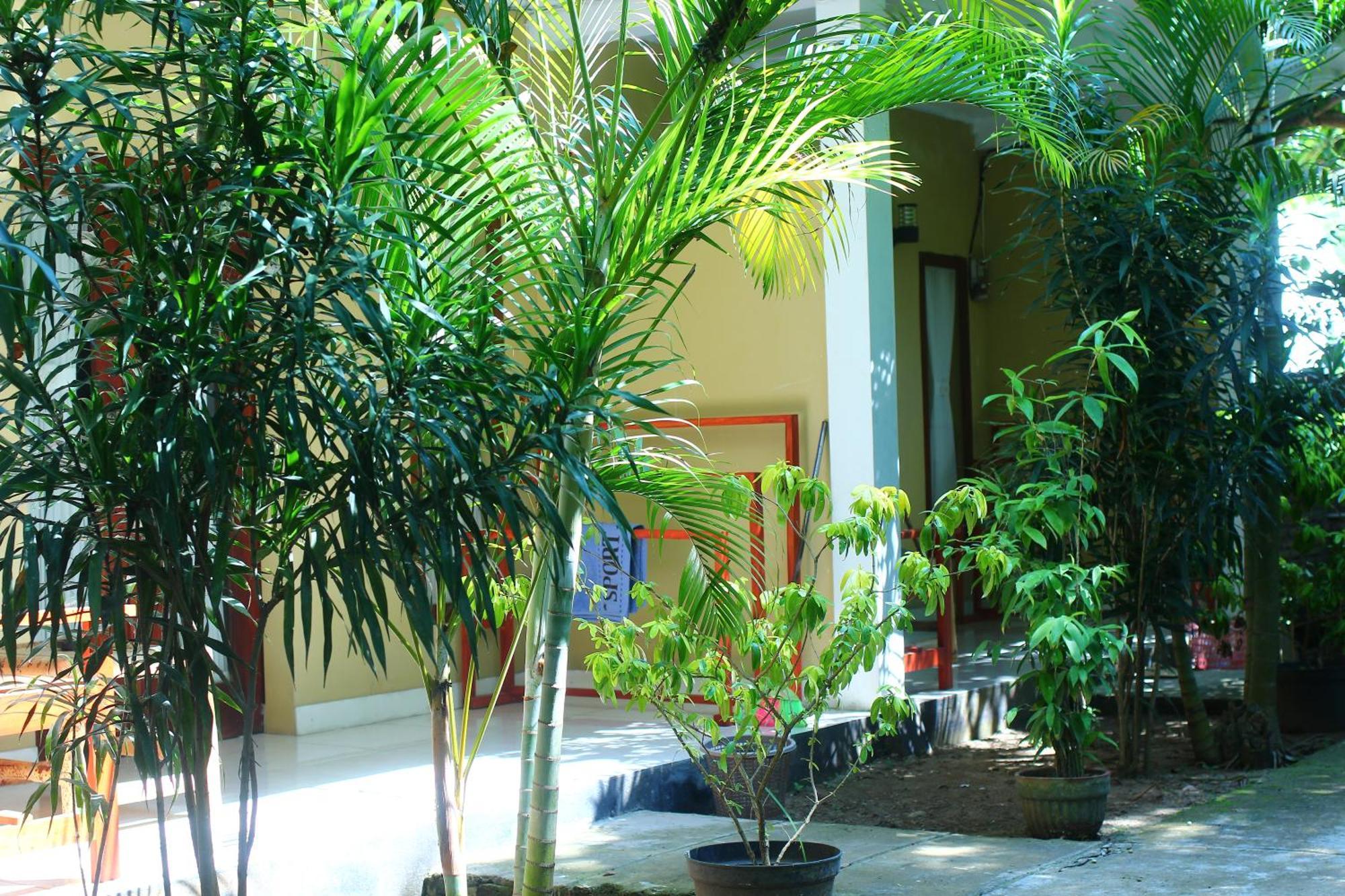 Three V Homestay Kuta  Luaran gambar