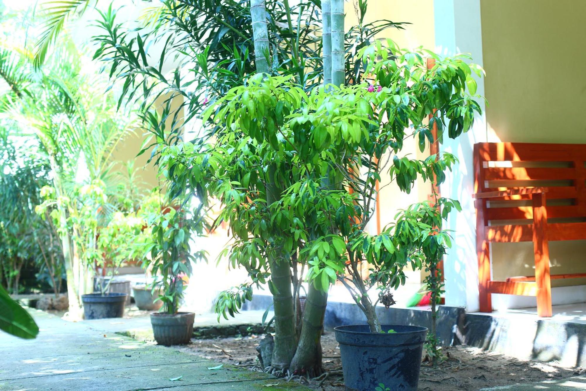 Three V Homestay Kuta  Luaran gambar