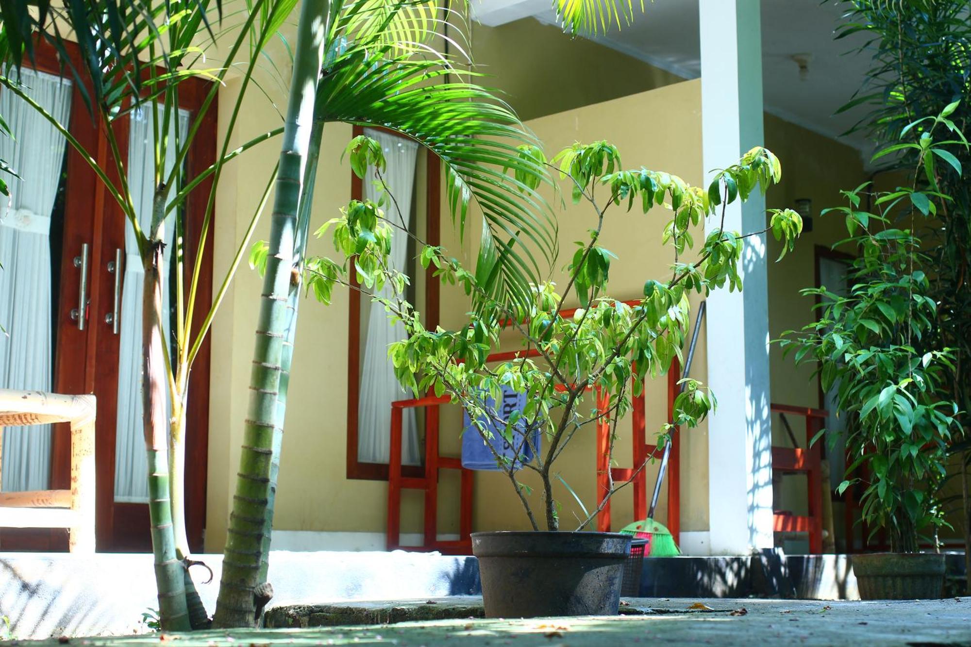 Three V Homestay Kuta  Luaran gambar