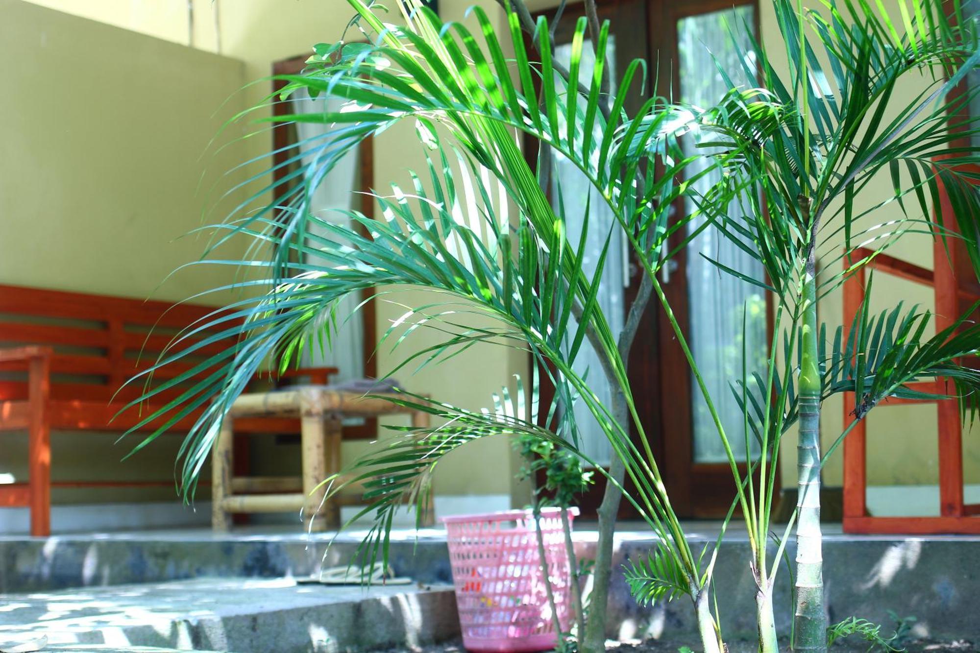 Three V Homestay Kuta  Luaran gambar