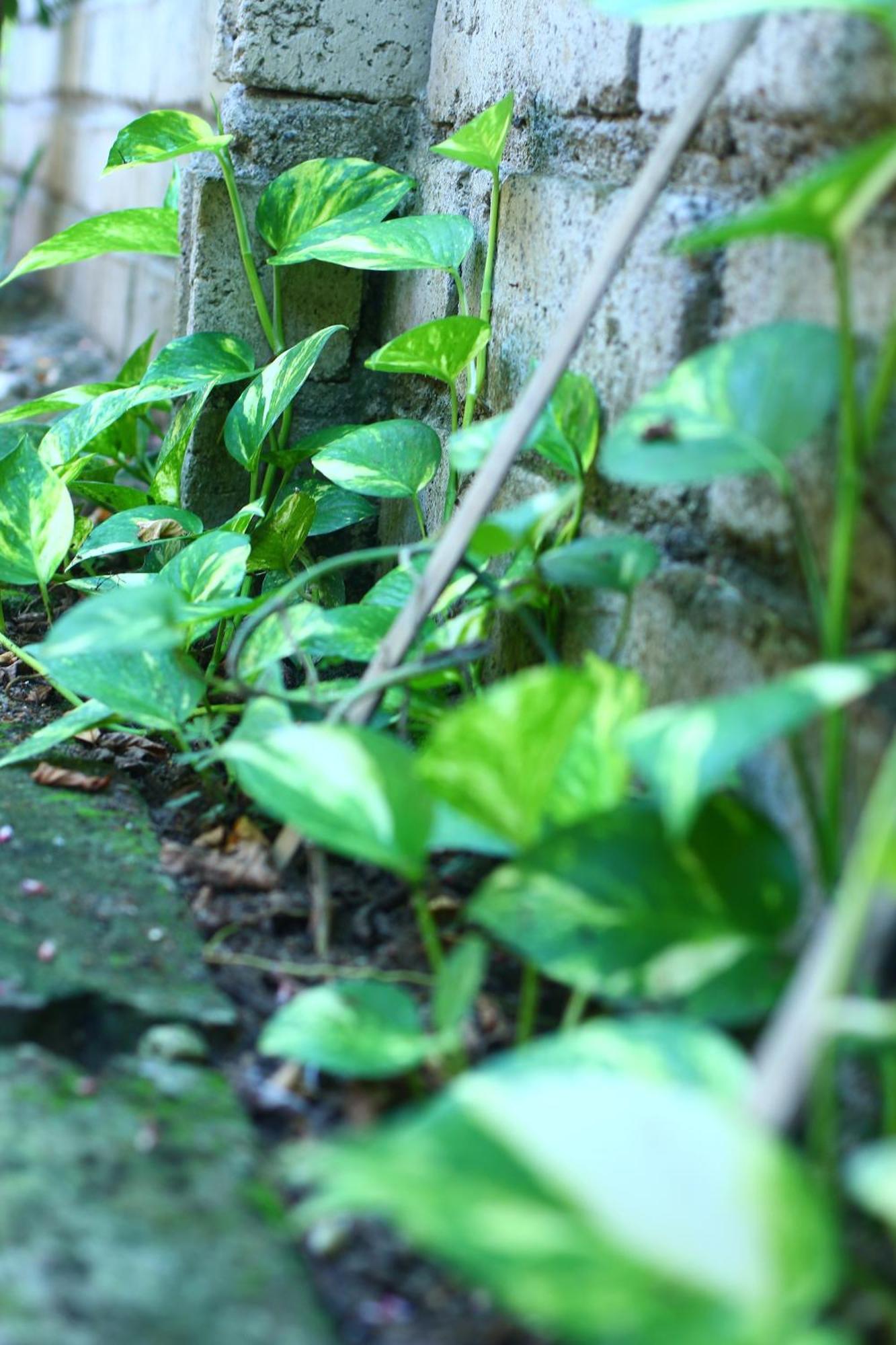 Three V Homestay Kuta  Luaran gambar