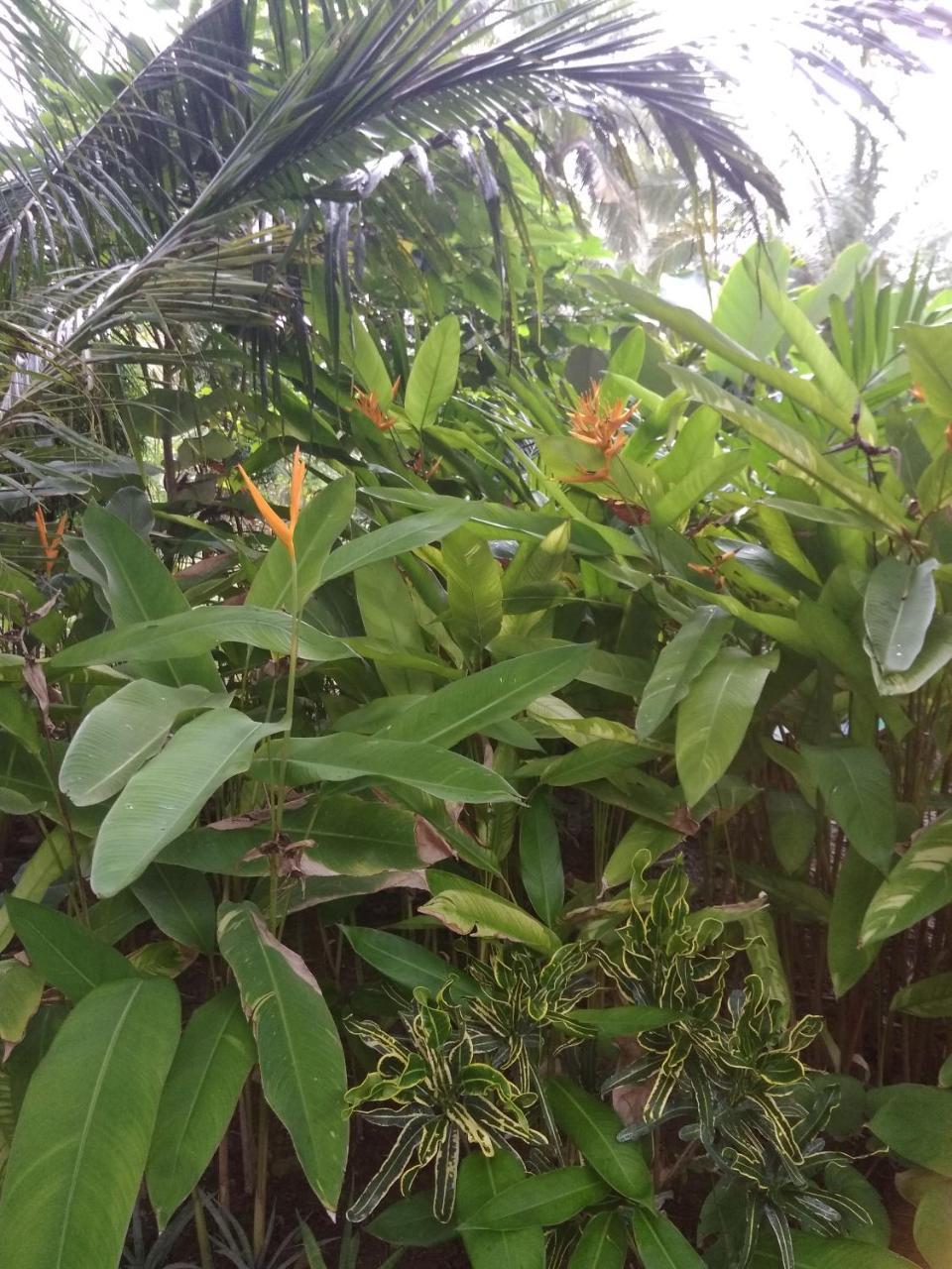 Three V Homestay Kuta  Luaran gambar